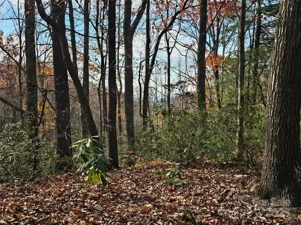 9999-16 Bob Barnwell RD, Asheville, NC 28803