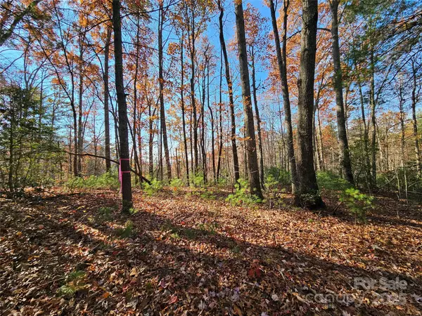9999-17 Bob Barnwell RD, Asheville, NC 28803