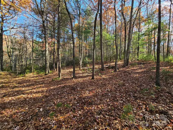 9999-17 Bob Barnwell RD, Asheville, NC 28803