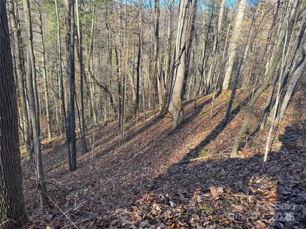 TBD Timberside DR, Mars Hill, NC 28754