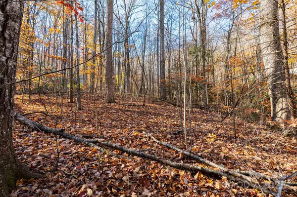 Lot 62 Twinbrook LN, Maggie Valley, NC 28751