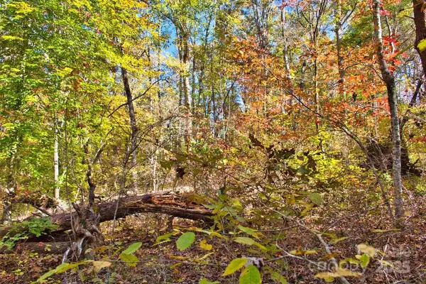 0 Bitteroot CIR #294, Rutherfordton, NC 28139