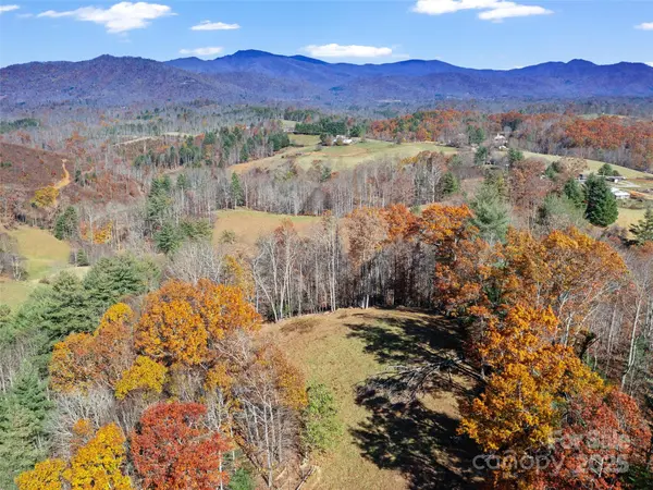 321 Lyle LN, Green Mountain, NC 28740