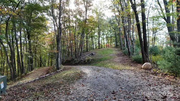 2 Roberts Mountain RD #2, Clyde, NC 28721
