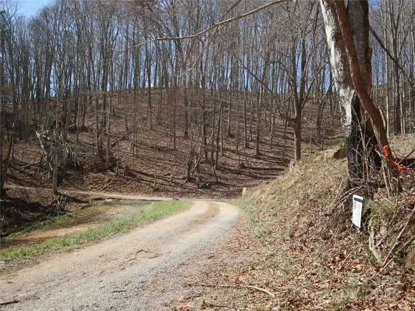 2 Roberts Mountain RD #2, Clyde, NC 28721