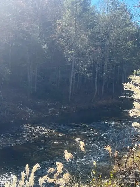 TBD Bend View DR, Marshall, NC 28753