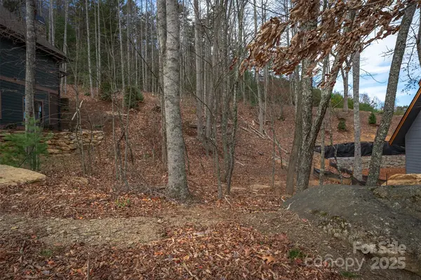 31 Old Lafayette LN #22, Black Mountain, NC 28711