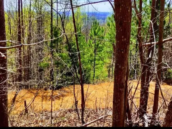 153 Westridge DR, Bostic, NC 28018