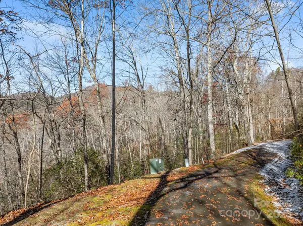 151 Trout Lily LN, Tuckasegee, NC 28783