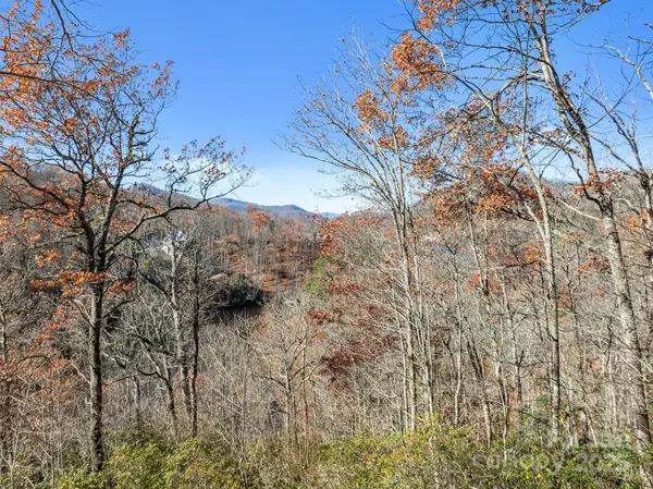 151 Trout Lily LN, Tuckasegee, NC 28783