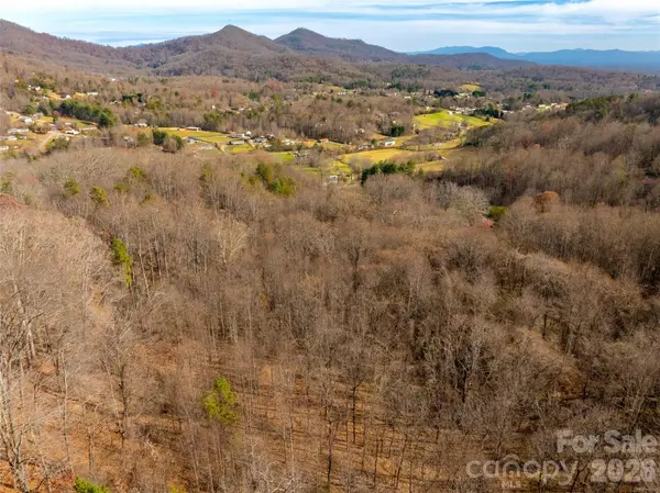 99999 Bay Horse TRL, Candler, NC 28715