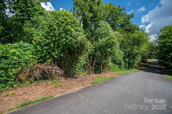Lot 25 Line DR, Forest City, NC 28043