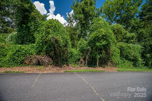 Lot 25 Line DR, Forest City, NC 28043
