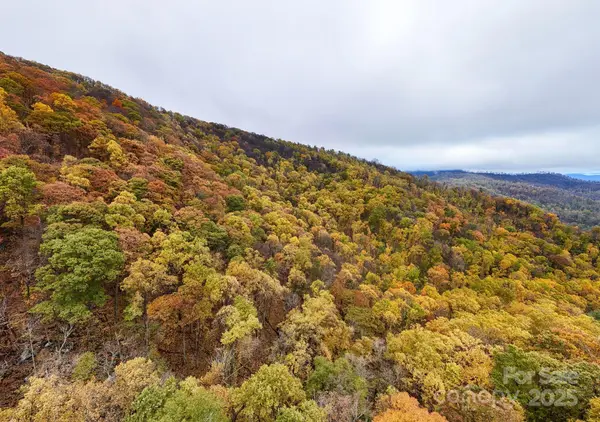 00 Ox Creek RD, Weaverville, NC 28787