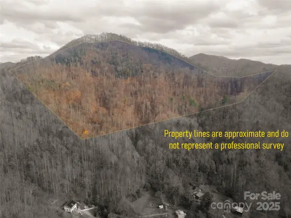 ### Grapevine RD, Marshall, NC 28753
