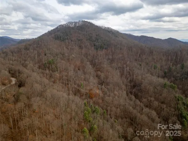 ### Grapevine RD, Marshall, NC 28753