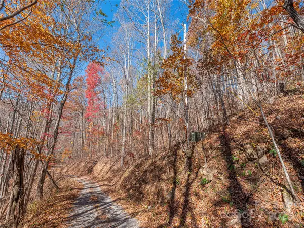 112 & 113 Grouse RD, Clyde, NC 28721