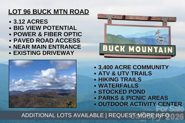 TBD Buck Mountain RD #96, Purlear, NC 28665