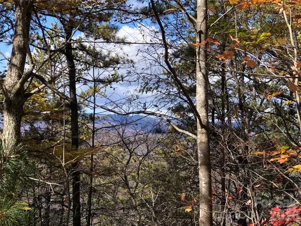 TBD Buck Mountain RD #96, Purlear, NC 28665