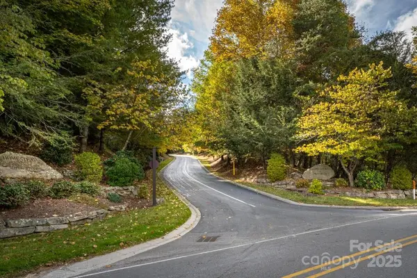 99999 Shining Rock PATH, Horse Shoe, NC 28742
