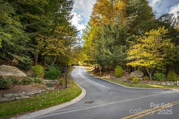 99999 Shining Rock PATH, Horse Shoe, NC 28742