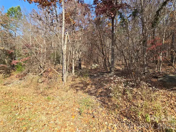 0 Lakeshore DR #783, Badin Lake, NC 28127
