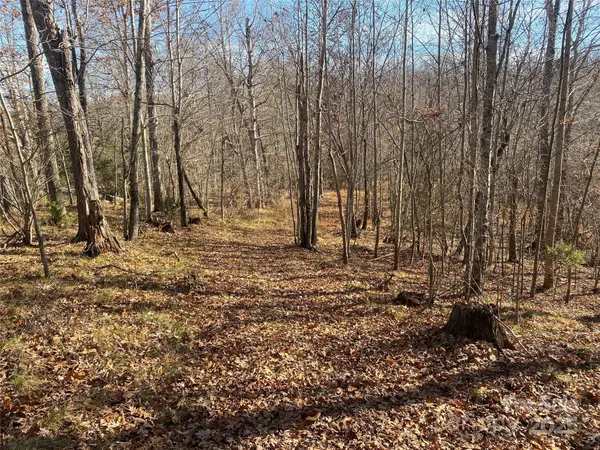 00 Kiser RD #Lot 1, Bostic, NC 28018