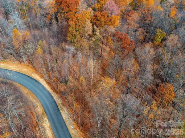 Lot 2110 Harm Creek LOOP, Mill Spring, NC 28756