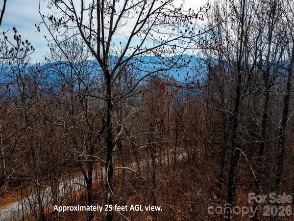 Lot 253 Haddington DR, Mill Spring, NC 28756