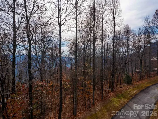 Lot 253 Haddington DR, Mill Spring, NC 28756