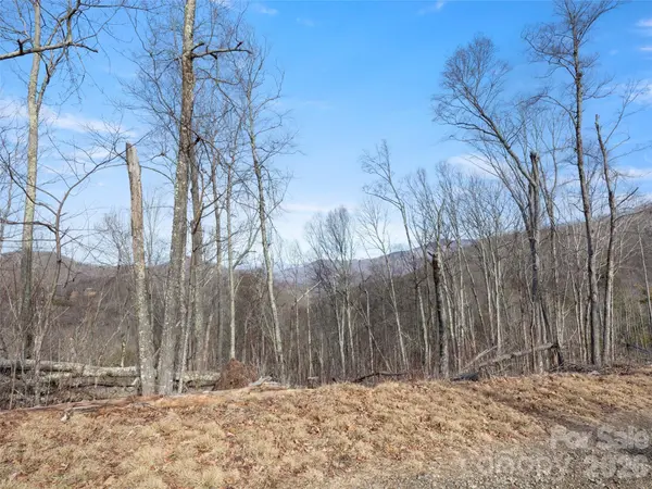 TBD S Ridge Runner RD, Burnsville, NC 28714