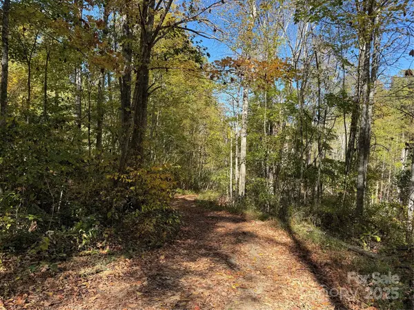 000 Hamburg RD #49, Mars Hill, NC 28754
