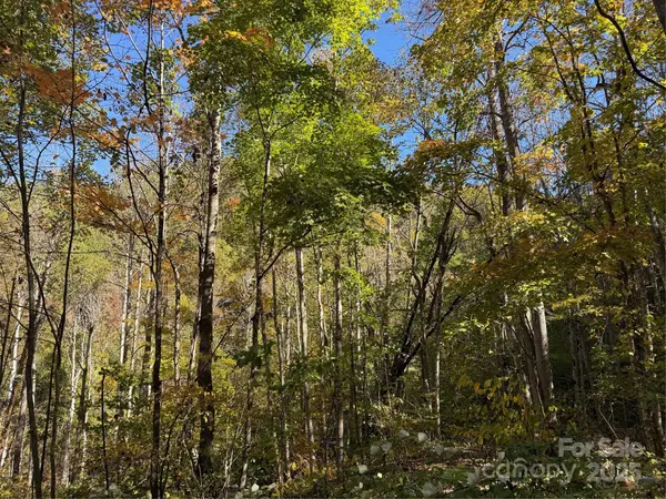 000 Hamburg RD #49, Mars Hill, NC 28754
