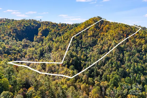 000 Hamburg RD #17, Mars Hill, NC 28754