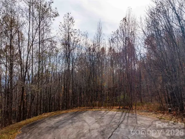 242 Nottingham DR, Mill Spring, NC 28756