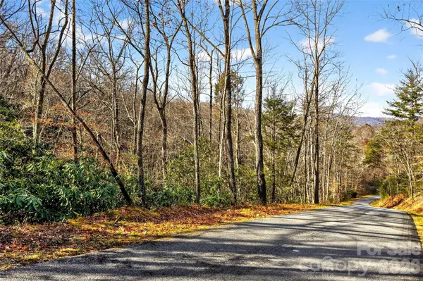 172 Crimson DR #995, Old Fort, NC 28762
