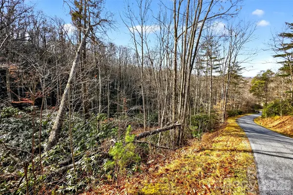 172 Crimson DR #995, Old Fort, NC 28762