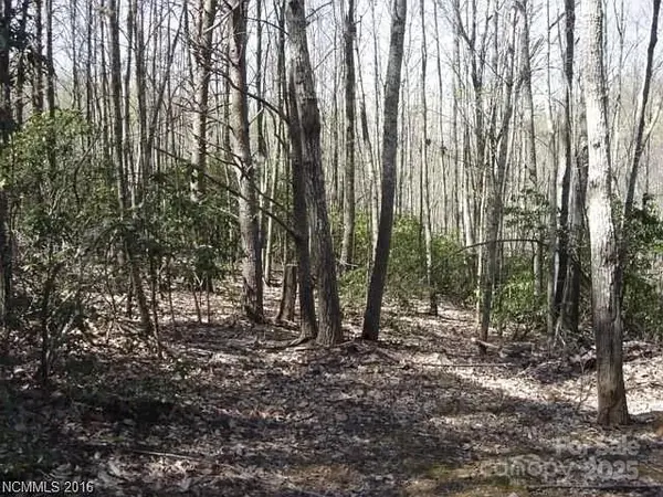 91 Old Forge DR, Bostic, NC 28018