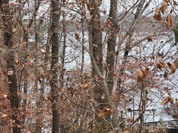 0 Shoreline RD #107, Badin Lake, NC 28127