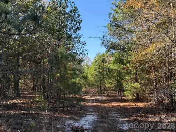164 Haines RD, Jackson Springs, NC 27281