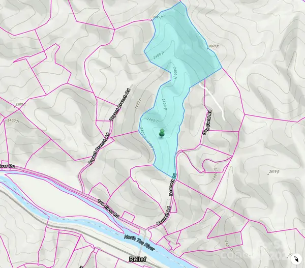 295 Bennett Branch RD, Green Mountain, NC 28740