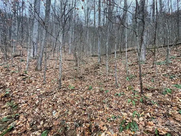 805 Sparkling Falls RD, Whittier, NC 28789