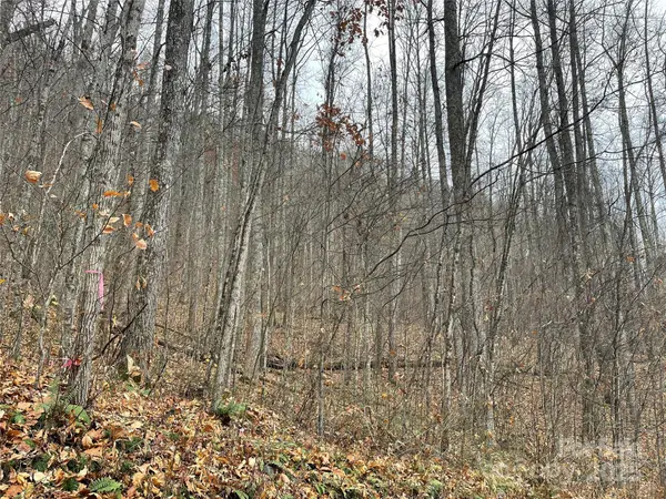 805 Sparkling Falls RD, Whittier, NC 28789