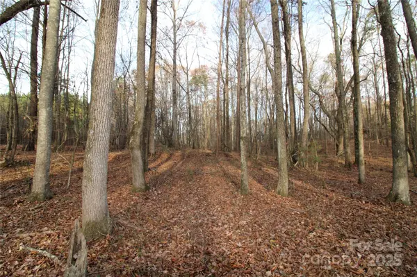 14.5+/-AC Pioneer RD, York, SC 29745