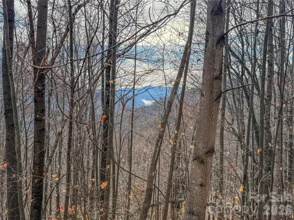 Lot 375 Rolling Ridge TRL, Lake Lure, NC 28746