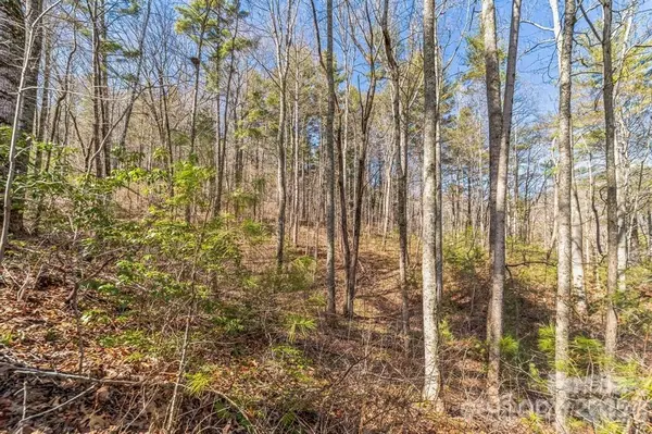 99999 Parker RD, Asheville, NC 28805