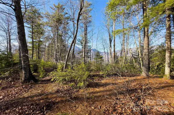 Lot #45 Fox Ridge TRL, Marion, NC 28752