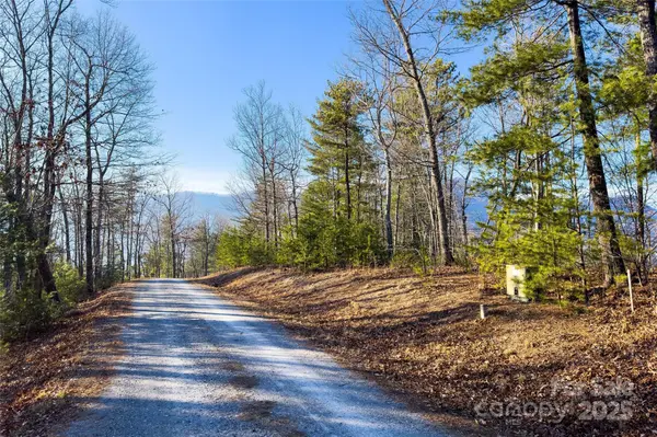 Lot #45 Fox Ridge TRL, Marion, NC 28752