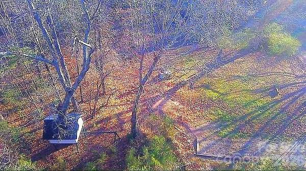 138 Rash RD, Lincolnton, NC 28092