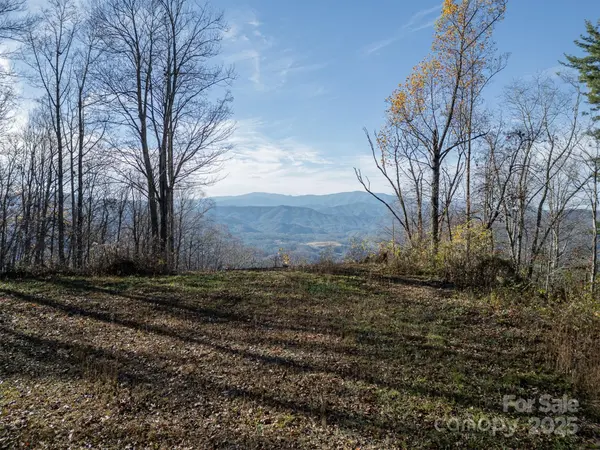 1098 Hyacinth DR, Clyde, NC 28721
